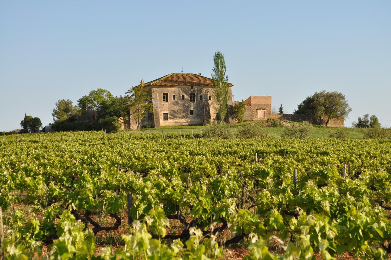 Mas Castell De Gimenelles Hotell Sant Jaume dels Domenys Eksteriør bilde