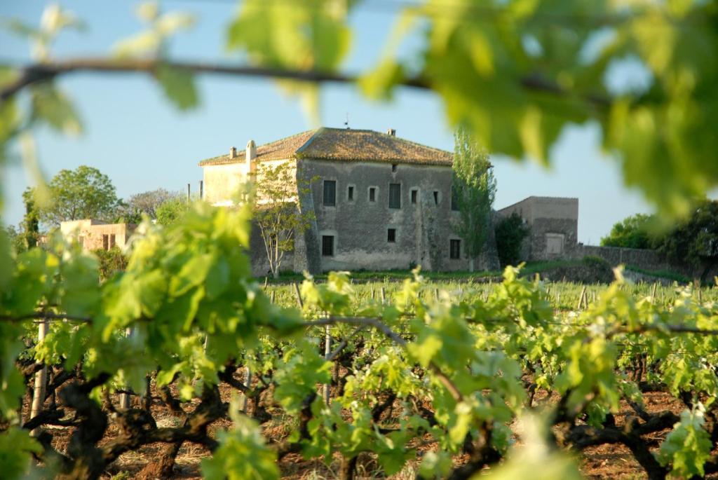 Mas Castell De Gimenelles Hotell Sant Jaume dels Domenys Eksteriør bilde