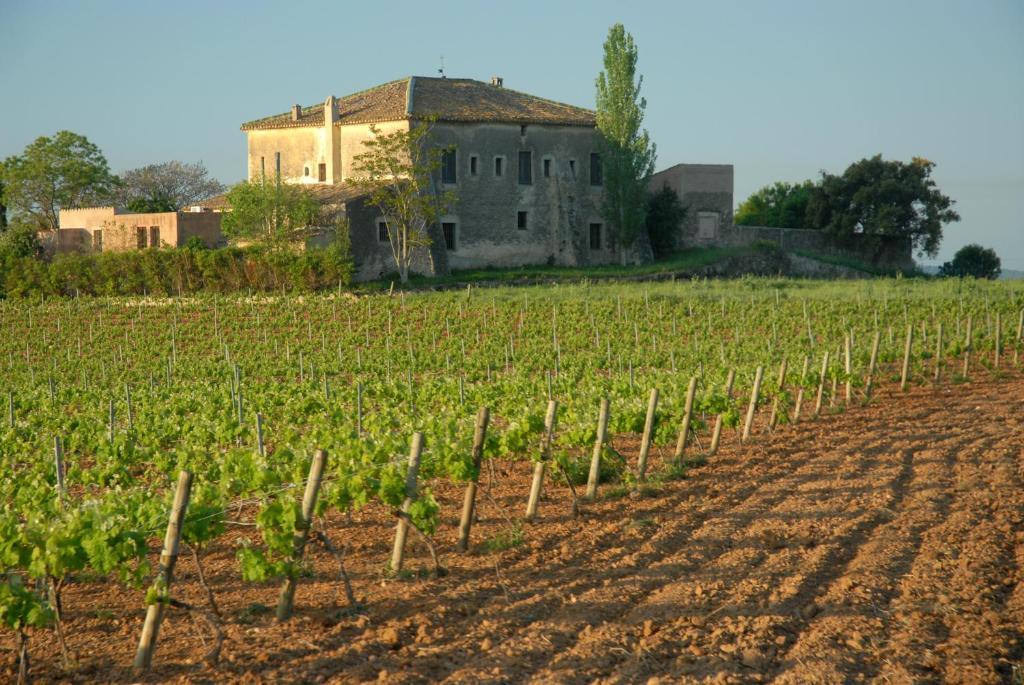 Mas Castell De Gimenelles Hotell Sant Jaume dels Domenys Eksteriør bilde